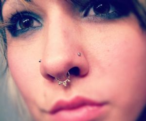 Septum Body Jewelry in the Nose