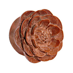 Shape Ear Plug - Wood - Water Lily - Brown - 8 mm