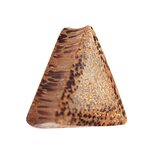 Wood Ear Plug - Triangle - Palm Wood - Light - 16 mm