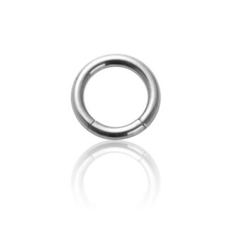 Segment Ring - Steel - Silver - 2.0mm to 6.0mm - [02.] - 2.0 x 10 mm