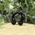 Circular Barbell - Steel - Black - 2.0mm to 6.0mm - [05.] - 2.0 x 16 mm (Balls: 6mm)