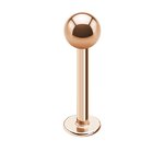 Labret Piercing - Steel - Rose Gold - [01.] - 1.2mm x 5mm...