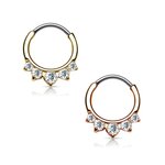 Septum Clicker - Ring - Crystals - Pointed