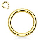 Segement Ring Piercing - Gold [3.] - 1.2 x 10 mm