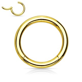 Segement Ring Piercing - Clicker [29.] - 1,2 x 6 mm - Color: gold