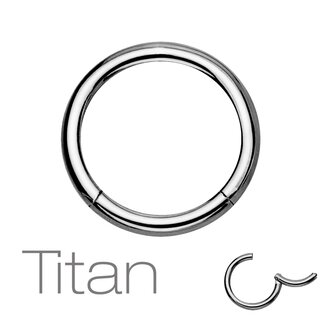 Segement Ring Piercing - Clicker - Segmentclicker - Titan [08.] - silver 1.0 x 6 mm