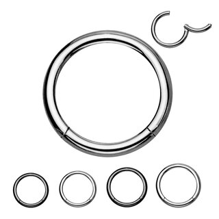 Segement Ring Piercing - Clicker - Segmentclicker - Titan [08.] - silver 1.0 x 6 mm