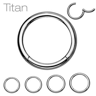 Segement Ring Piercing - Clicker - Segmentclicker - Titan [08.] - silver 1.0 x 6 mm