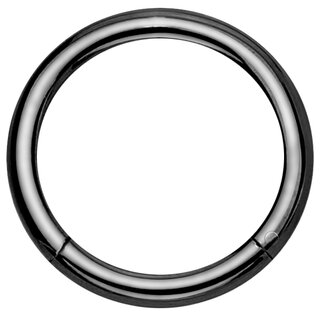 Segement Ring Piercing - Clicker - Segmentclicker - Titan [08.] - silver 1.0 x 6 mm