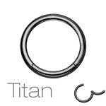 Segement Ring Piercing - Clicker - Segmentclicker - Titan...