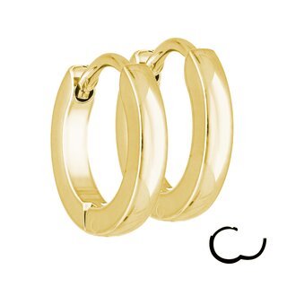 Hoop Earrings - 3 Sizes - 13 Colors - [29.] 2mm x 16mm - gold