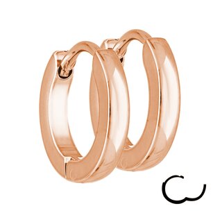 Hoop Earrings - 3 Sizes - 13 Colors - [30.] 2mm x 16mm - rose gold