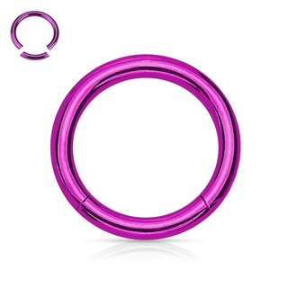 Segement Ring Piercing - Purple