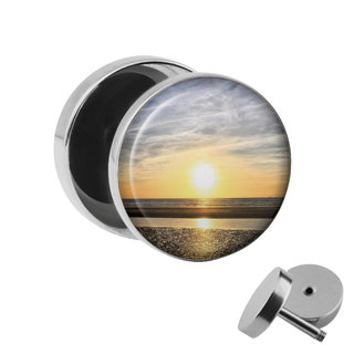 Picture Fake Plug - Sunset