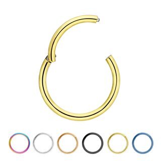 Segmentring-Clicker - Piercing - 5 Colors